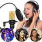 INTEX V8S Professional Legendary Vocal Condenser Microphone